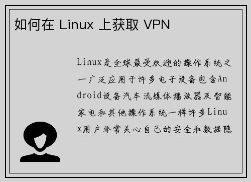 如何在 Linux 上获取 VPN 